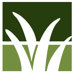 Lehigh Acres Lawn Clean Up