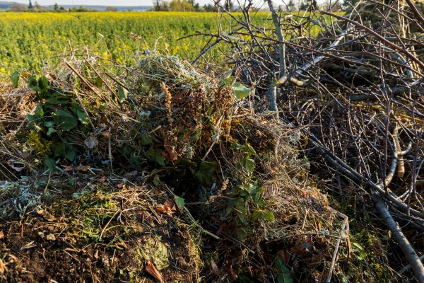 Brush Disposal in Lehigh Acres