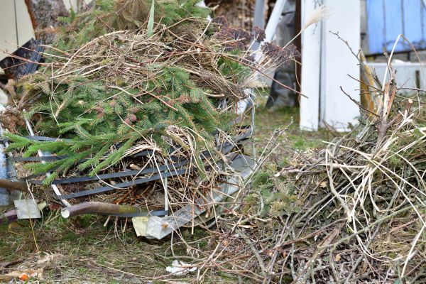 Yard Waste Removal Service in Lehigh Acres