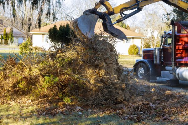 Storm Debris Removal in Lehigh Acres