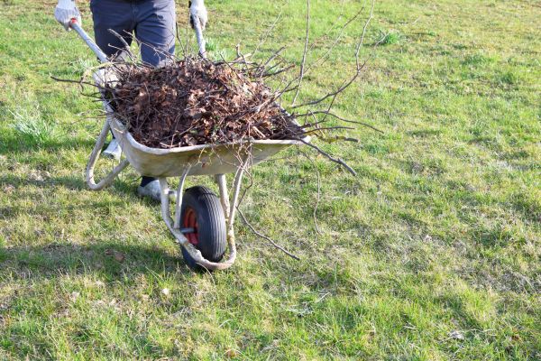 Yard Brush Removal in Lehigh Acres