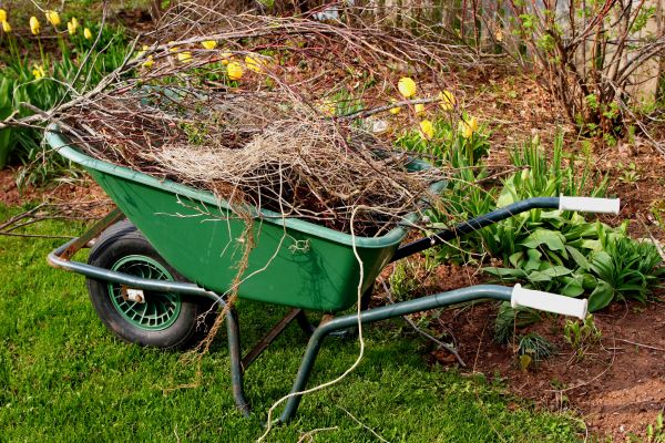 Lawn Waste Removal in Lehigh Acres