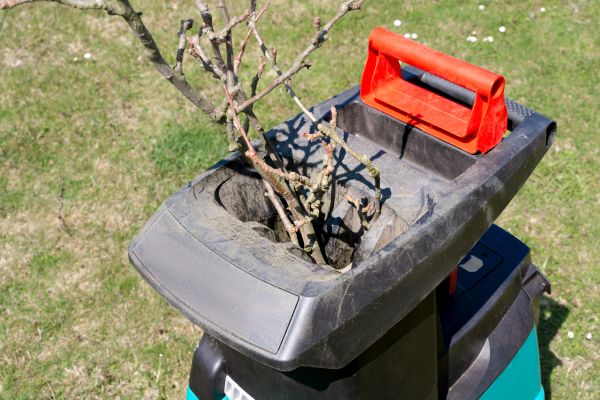 Brush Cleanup Service in Lehigh Acres