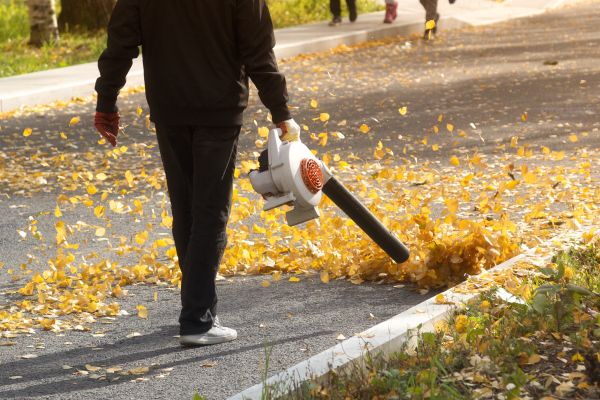 Commercial Leaf Removal in Lehigh Acres