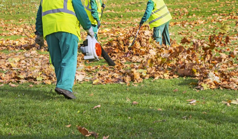 Commercial Leaf Removal