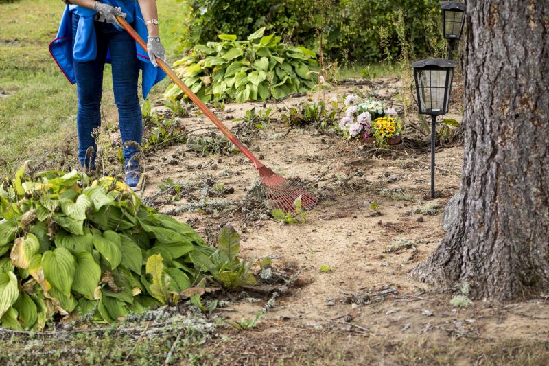 Pathway and Lawn Clearing