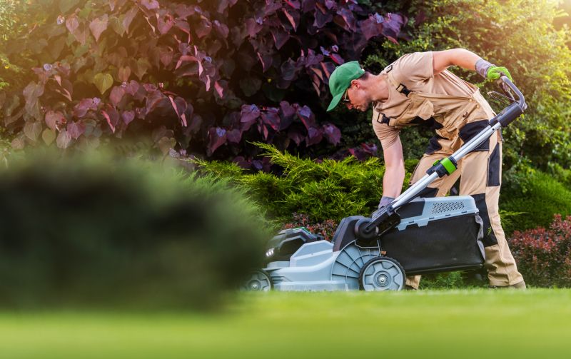 Seasonal Lawn Care Experts